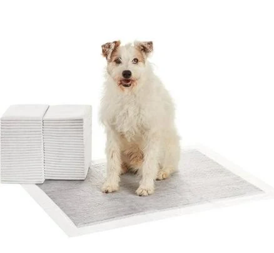 Basics Carbon OdorControl Dog and Puppy Pee Pads, 5Layer LeakProof Super Absorbent, QuickDry Surface, Potty Training, XLarge (28x34"), 50 Count, Gray