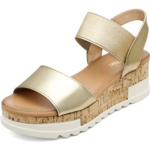 DREAM PAIRS Women's Open Toe Ankle Strap Casual Flatform Platform Wedges Sandals (7.5, Gold-2)