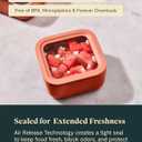 Caraway Glass Food Storage - 4.4 Cup Glass Container - Ceramic Coated Food Container - Non Toxic, Non Stick Lunch Box Container with Lids - Dishwasher, Oven, & Microwave Safe - Perracotta