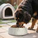 Marbledog Bowls - Large Dog Water Bowl,Spill Proof Dogs Water Bowl,Non Slip Quiet Bottom,Easy to Clean,Applies to Dog,Big,Extra Large Pet,Heavy Duty Pet Bowls for Indoor/Outdoor,GreyNS039