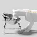 Elevated Cat Bowls - for Small Cats/Dogs, 5.9" Indoor Stainless Steel Raised Cat Bowl for Food and Water,15 Tilted Anti-Vomiting Dog Dishes, Whisker Friendly, Spine Friendly (Dishwasher Safe) (1Pack)