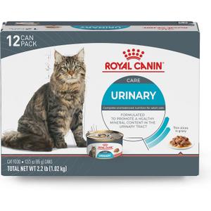 Royal Canin Feline Care Nutrition Urinary Care Adult Thin Slices in Gravy Cat Food, 3 oz (Pack of 12)