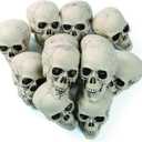 Fun Express White Plastic Realistic Skeleton Skulls 5 Inch for Halloween Party, Bar and Table Decorations, 12 Pack