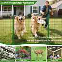 Welded Wire Fence 36inch x 50ft, Black PVC Coated Garden Fencing, 2 inch x 3inch 16Gauge Chicken Wire Fence Roll, Anti-Rust Metal Fencing for Yard Plant Protection Poultry Netting