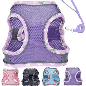 Petank Dog Harness for Small Medium Dogs No Pull, Puppy Harness and Leash Set, Mesh Adjustable Breathable Light Vest for Walking, Running, Training. (Purple, S)