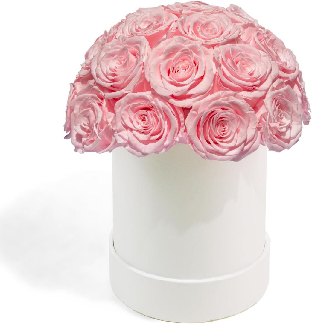 27 Preserved Roses in Round Dome Shape, Mother's Day Real Forever Flowers Rose Box, Eternal Rose Gift for Her Women Girl Friend Wife, Flower Gift for Valentines Day(Pink)