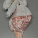 Bestjybt Plush Funny Bunny Rabbit Ears Hood Women Costume Party Hats for Cosplay Halloween