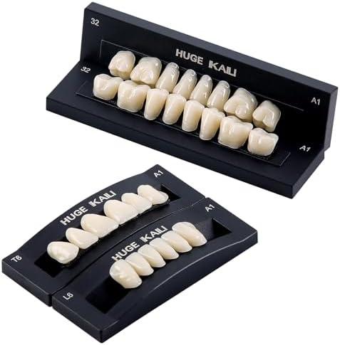 JMU 28 Pcs/Set Dental Acrylic Resin Denture Teeth Shade A1 T6 Resin Synthetic False Teeth