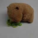 Ditucu Cute Capybara Plush with Turtle Backpack Soft Capibara Stuffed Animal Plushies Toys Hugging Gifts for Kids Brown 13 inch