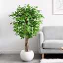 5ft Ficus Artificial Trees with Natural Curved Trunks, 60" Tall Lush Faux Tree for Home Decor Indoor, Green Lifelike Fake Ficus Tree Artificial Plants