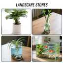 12 lb River Rocks Pebbles for Indoor Plants 3/8-1 Inch Natural Aquarium Gravel Decorative Fish Tank Rocks Garden Landscaping Decor