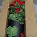 14'' Fake Plants Artificial Geraniums Flowers in Pot for Home Garden Indoor Outdoor Christmas Spring Summer Decorations (Red)