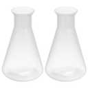 PATIKIL 250ml Plastic Erlenmeyer Flask, 2 Pack Wide Mouth Conical Flask for Laboratory, Clear