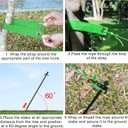 Fabulas Tree Stakes Kits, 4 Pcs 11.8 Inch Heavy Duty Steel Stakes and Supports for Leaning Young Trees Straightening with 4 Pcs Support Straps and 13.2ft Anchor Ropes, Against Strong Wind Bad Weather