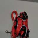 rabbitgoo Cat Harness and Leash for Walking, Escape Proof Soft Adjustable Vest Harnesses for Cats, Easy Control Breathable Reflective Strips Jacket, Red, XS