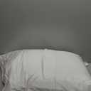 Goose Down Pillow for Sleeping, Hotel Quality 750 Fill Power Queen Size Pillow with Pillowcase - Bed Pillow for Master Bedroom, Support for Back, Side, Stomach Sleepers, 1 Pack, 20x30 Inch