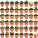 Shihanee 48 Pcs Succulent Cactus Decorative Tealight Baby Shower Plant Candles Bridal Shower Novelty Handmade Tealight Terrarium Plant Candles for Fiesta Birthday Wedding Party(Red)