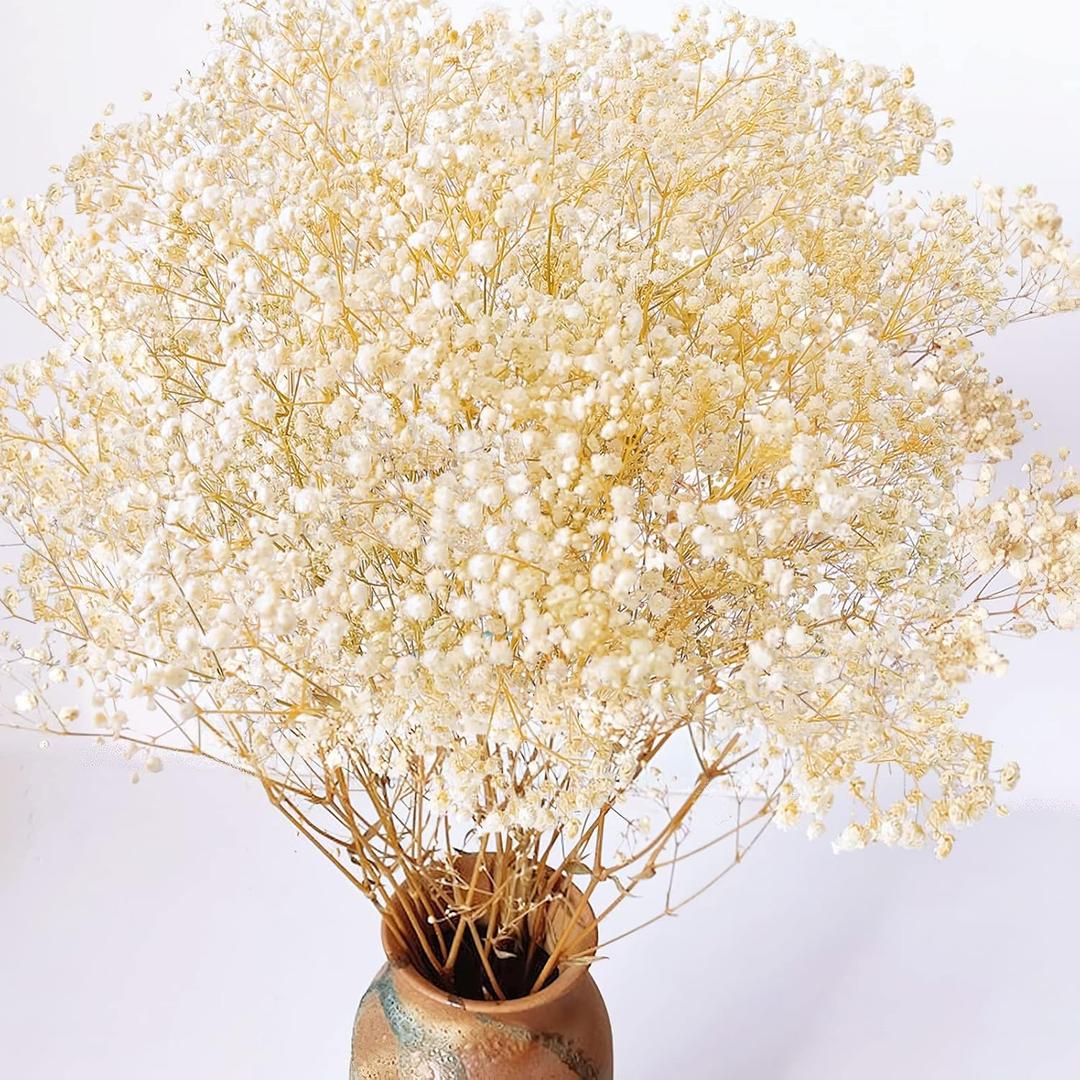 4000+ Dried Babys Breath Flowers Bulk - 17.2" Ivory White Dried Flowers Bouquet, Natural Gypsophila Branches for Vase Filler, Wedding, Home, Table Centerpiece Decor, Dry Flowers Bulk for DIY, Party