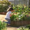 Wood Garden Edging Wood Landscape Edging Garden Fence Border Flexible Decorative Border Tree Fence for Yard Flower Bed Lawns Pathway - 9'' H x 3.96 Ft L (1 Pack)