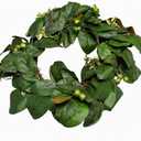 24in. Magnolia Leaves/Berry Wreath