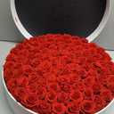 Perfectione Roses 100 Preserved Roses in Velvet Box, Flowers for Delivery
Luxury Rose Gift for Her, Valentines Roses for Wife, Gifts for Mom and Special Occasions