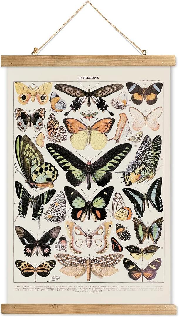 XIAOAIKA Vintage Butterfly Hanging Poster with Wooden Frame, Retro Style Wall Decor Art Painting, Patterns Printed on Linen Without Fading, Ready to Hang (20 x 30) (1-Pack Butterfly) XIAOAIKA Vintage Butterfly Hanging Poster with Wooden Frame, Retro Style Wall Decor Art Painting, Patterns Printed on Linen Without Fading, Ready to Hang (20 x 30) (1-Pack Butterfly)