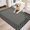 BEQHAUSE Door Mat Indoor Entrance Dirt Trapper Rugs for Entryway Non Slip Welcome Mat Absorbent Floor Mat Low Profile Washable Front Doormat for Dirty Paws, 32" x 48", Grey