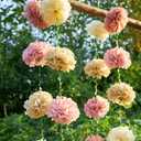 Paper Flower Garland, Rose, Pink, Light Beige, and Cream Color Tissue Paper Flowers Party Decorations, Paper Flowers for Baby Shower, Garden Party, Wedding, Wall Decor, Spring Summer Decor (2 Pcs)