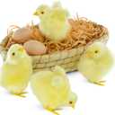 Baby Chick 7 Set, Simulated Chicken Sound Figurine Lifelike Stuffed Farm Animal, Realistic Chicken Plush Easter Chicks Photography Props Home Decor Chirping Furry Little Chicken Birthday Gift