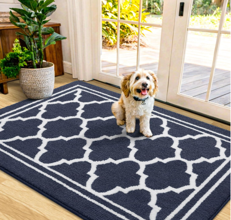Buganda Indoor Door Mat, Dirt-Resistant and Absorbent Doormat, Anti-Slip, Low Profile Floor Mats for Inside Entryway, Front, and Back Door Entrance (48x32 Inches, Beige)