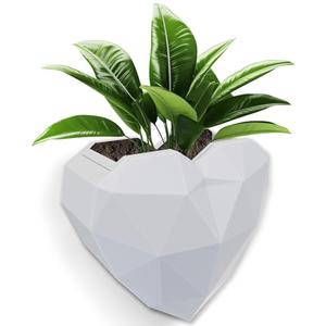 VMAYAN Heart Self Watering Planter | Indoor Wall Planters for Indoor Plants | Vertical Succulent Wall Planters | Create A Wall Garden Without Drilling (White)