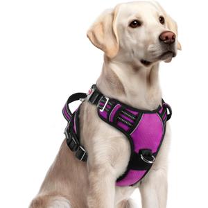 rabbitgoo Dog Harness for Large Dogs, No Pull Pet Vest with 3 Buckles, Adjustable Soft Padded Pet Harness with Easy Control Handle and Reflective Strips, Purple, L