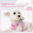 rabbitgoo Dog Harness Small Sized and Leash Set, Step in Soft Light Puppy Vest, Breathable Mesh Pet Harness, Reflective for Safe Easy Walking, Pink & Gray XS