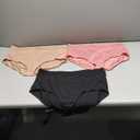 Warner's Women's Blissful Benefits Dig-Free Seamless Hipster 3-Pack Ru7323w (Large)