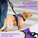 Rabbitgoo Dog Harness No Pull with 2 Leash Clips, Adjustable Soft Padded, Reflective Oxford No Choke Pet Vest with Easy Control Handle for Medium Sized Dogs, Purple, M