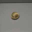 IMISSU Braided Chignon Dancer Hair Cover Donut Hair Pieces Scrunchies Hair Bun Wig Clips Updo Wedding Party for Women (M4 Dirty Blonde)