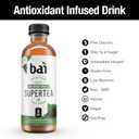 Bai Iced Tea, Socorro Sweet, Antioxidant Infused Supertea, Crafted with Real Tea (Black Tea, White Tea), 18 Fluid Ounce Bottles, 12 Count (Pack of 1) (EXP 04/22/26)