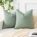Kevin Textile Set of 2 Pillow Covers Rustic Linen Spring Decorative Square Throw Pillow Covers 20x20 Inch for Sofa Couch Decoration, Sage Green