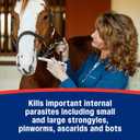 Farnam IverCare (ivermectin Paste) 1.87% for Horses, Anthelmintic and Boticide, 0.21 Ounces, Horse Dewormer, Ivermectin Apple-Flavored Paste, Up to 1,250 lbs