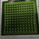 Mueller Pro-Series 10-in-1, 8 Blade Vegetable Chopper, Onion Mincer, Cutter, Dicer, Egg Slicer with Container, French Fry Cutter Potato Slicer, Home Essentials, Salad Chopper White Sand/Green