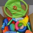 Aipper Dog Toys 25 Pack for Fun and Teeth Cleaning, Puppy Chew Toys Pack with Squeak Plush Toy,Squeaky Toy Balls,Tug of War and Rope Toys for Puppy to Small Dogs