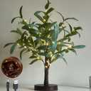 LITBLOOM Lighted Tabletop Olive Tree 18IN 50 LED Fairy Lights with Timer Battery Operated or USB Plug in Bonsai Tree for Wedding Christmas Spring Home Decoration