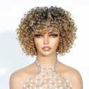 Short Curly Wigs Ombre Highlight Honey Blonde Wig with Bangs Glueless Afro Wigs for Black Women Kinky Curly Wig Dark Root to Blonde M1B/27, 4A Curls