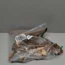 majoywoo Natural Large Driftwood for Aquarium Decor Reptile Decor, Fewer Branches 12.5-18" 2Pcs