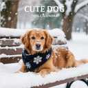 2 x 2026 Wall Calendar, Large Monthly Wall Calendar Dogs, Jan 2026 - Dec 2026, 12" x 24" (Opened), Hanging Planning Calendars for Family Home Office Supplies