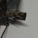 Victor M9015 Easy-to-Set Deadset Mole Trap and Killer