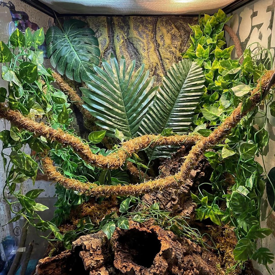 39 Pcs Reptile Vines for Climbing Jungle Theme Party Decorations Natural Moss Rope Artificial Rattans Tropical Palm Leaves Ivy Fake Vines for Dragon Chameleon Snake Gecko Accessories