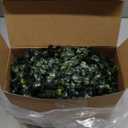 Hotop 2 Pcs 9 Inch Artificial Plant Topiary Ball 4 Layers Garden Spheres Boxwood Balls Artificial Topiaries Spheres Decorative Plants for Backyard, Balcony, Garden, Indoor Outdoor Decor(Green)