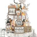 Shellwei 20 Pcs Neutral Christmas Tiered Tray Decor Rustic Winter Tiered Tray Farmhouse Christmas Decoration Xmas Trees Gnome Elk Snowflake Wooden Signs for Home Table Shelf