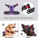 PHOEPET No Pull Dog Harness Medium Reflective Front Clip Vest with Handle,Adjustable 2 Metal Rings 3 Buckles,[Easy to Put on & Take Off](M, Purple)